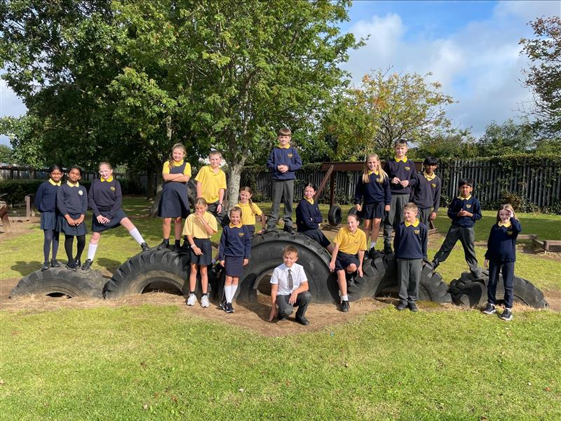 Primary 7 AG