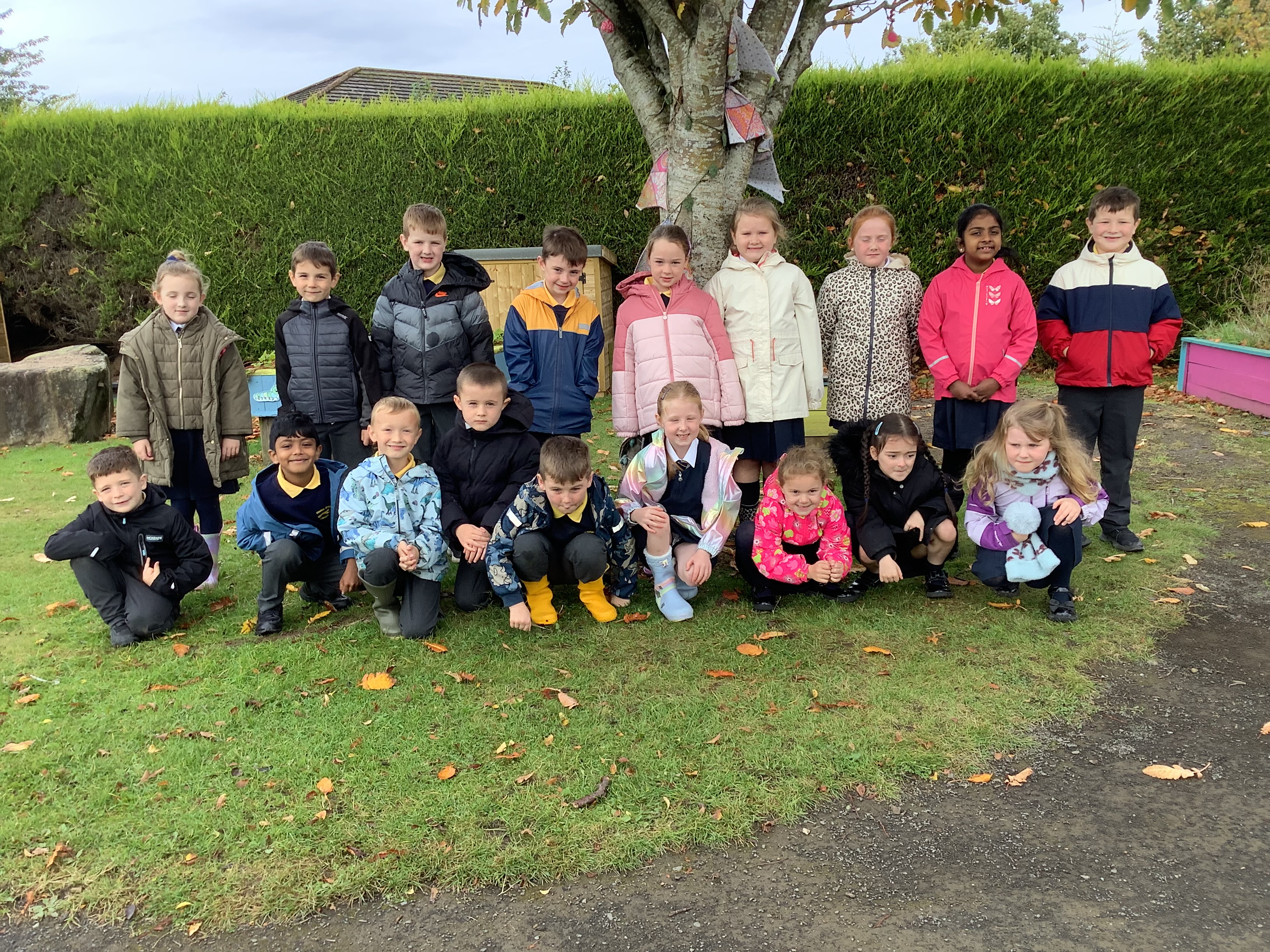 Primary 3 WMcC